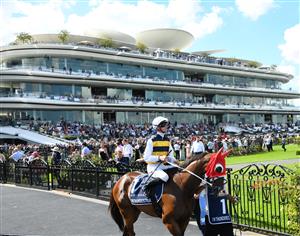 MELBOURNE, AUSTRALIA - MARCH 19: Jye McNeil riding I'm Thunderstruck, heads to the start before placing in Race 6, the The Seppelt Wines All-star Mile, during All-Star Mile Race day at Flemington Racecourse on March 19, 2022 in Melbourne, Australia. (Photo by Vince Caligiuri/Getty Images)