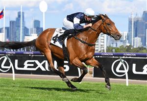 MELBOURNE, AUSTRALIA - MARCH 19: Michael Dee riding Pondus winning Race 8, the The Seppelt Wines Regal Power, during All-Star Mile Race day at Flemington Racecourse on March 19, 2022 in Melbourne, Australia. (Photo by Vince Caligiuri/Getty Images)
