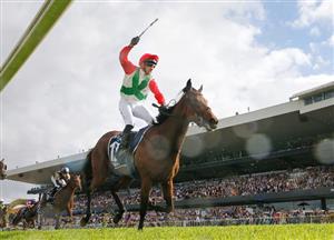 Rosehill Highlights - March 19