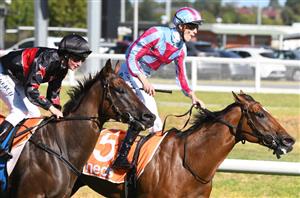 William Reid Stakes Betting Odds