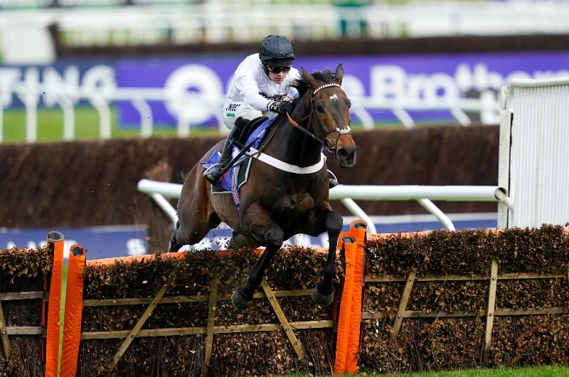 Champion Hurdle Odds and Entries