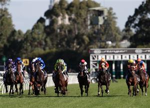 Rosehill Betting Tips, Best Bets & Odds for March 26