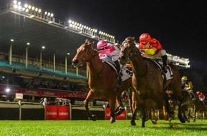 2022 William Reid Stakes Tips, Preview & Best Bets