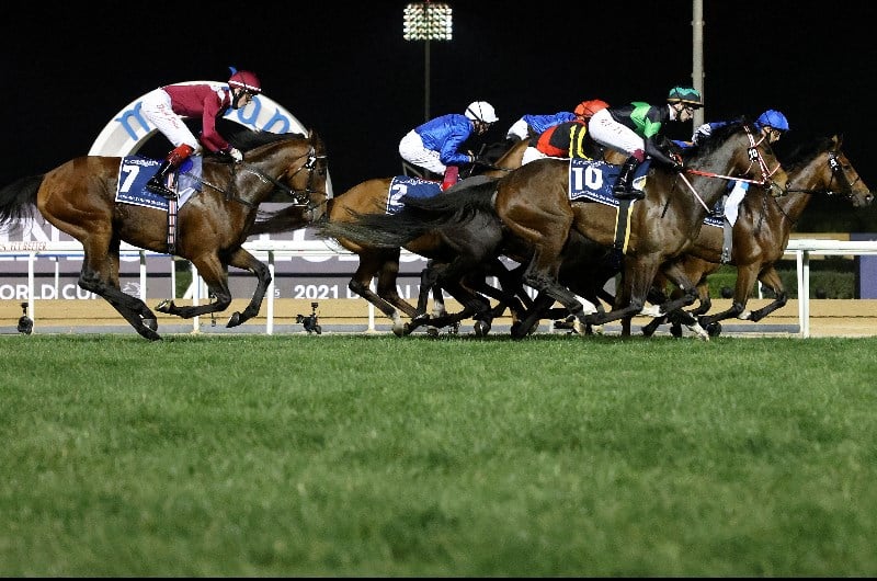 Dubai world cup 2022 betting calculator tron graph crypto