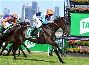 Get $6 for Duais to win by 1+ Lengths