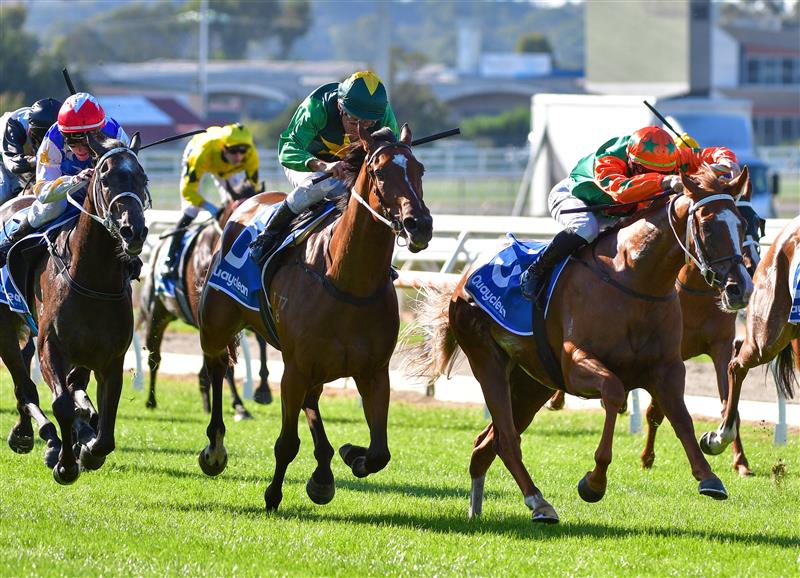 MELBOURNE, AUSTRALIA - MARCH 26: Beau Mertens riding Sharp Response defeats Damien Oliver riding Jungle Magnate but lost the race on protest in Race 8,  the Quayclean Mornington Guineas, during Mornington Cup Day at Mornington Racecourse on March 26, 2022 in Melbourne, Australia. (Photo by Vince Caligiuri/Getty Images)