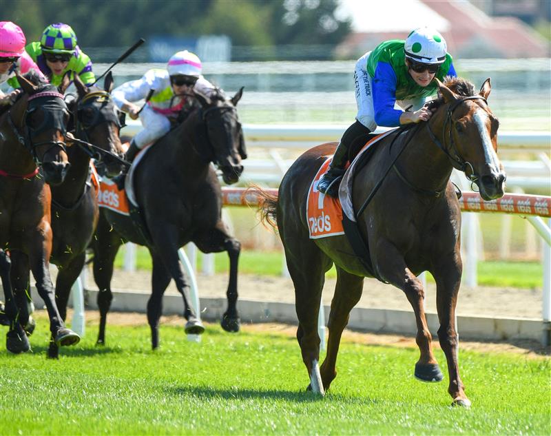 MELBOURNE, AUSTRALIA - MARCH 26:  Teodore Nugent riding Quintello winning Race 1, the Asset Painting Services Handicap, during Mornington Cup Day at Mornington Racecourse on March 26, 2022 in Melbourne, Australia. (Photo by Vince Caligiuri/Getty Images)