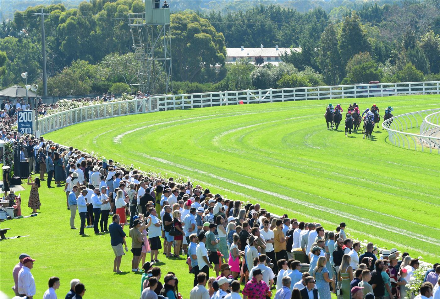 MELBOURNE, AUSTRALIA - MARCH 26: Damien Oliver riding Rousseau turns into home straight before winning Race 5, the Surdex Sheet And Coil Handicap, during Mornington Cup Day at Mornington Racecourse on March 26, 2022 in Melbourne, Australia. (Photo by Vince Caligiuri/Getty Images)
