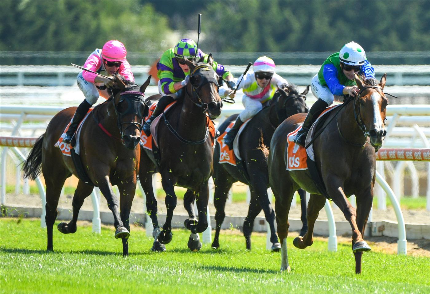 MELBOURNE, AUSTRALIA - MARCH 26:  Teodore Nugent riding Quintello winning Race 1, the Asset Painting Services Handicap, during Mornington Cup Day at Mornington Racecourse on March 26, 2022 in Melbourne, Australia. (Photo by Vince Caligiuri/Getty Images)