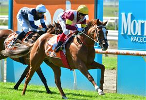MELBOURNE, AUSTRALIA - MARCH 26: Craig Williams riding Crystal Pegasus winning Race 6, the Neds Mornington Cup, during Mornington Cup Day at Mornington Racecourse on March 26, 2022 in Melbourne, Australia. (Photo by Vince Caligiuri/Getty Images)