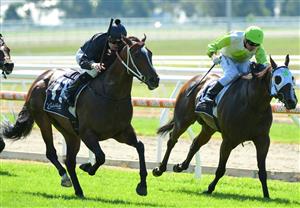MELBOURNE, AUSTRALIA - MARCH 26: Jye McNeil riding Jump the Broom winning Race 4, Catanach's Jewellers Handicap during Mornington Cup Day at Mornington Racecourse on March 26, 2022 in Melbourne, Australia. (Getty)