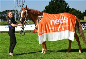 MELBOURNE, AUSTRALIA - MARCH 26: Crystal Pegasus after winning Race 6, the Neds Mornington Cup, during Mornington Cup Day at Mornington Racecourse on March 26, 2022 in Melbourne, Australia. (Photo by Vince Caligiuri/Getty Images)