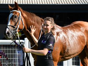 MELBOURNE, AUSTRALIA - MARCH 26: Crystal Pegasus after winning Race 6, the Neds Mornington Cup, during Mornington Cup Day at Mornington Racecourse on March 26, 2022 in Melbourne, Australia. (Photo by Vince Caligiuri/Getty Images)