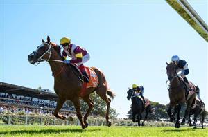 Mornington Cup Day Highlights