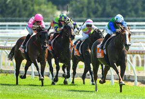 MELBOURNE, AUSTRALIA - MARCH 26: Teodore Nugent riding Quintello winning Race 1, the Asset Painting Services Handicap, during Mornington Cup Day at Mornington Racecourse on March 26, 2022 in Melbourne, Australia. (Photo by Vince Caligiuri/Getty Images)