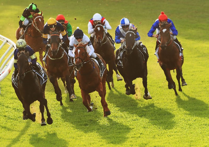 Canterbury Racing Tips, Best Bets & Odds Today's Betting Tips for