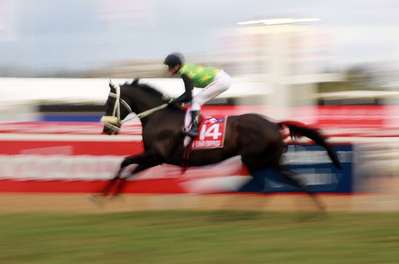 South Africa Horse Racing Betting Tips, Best Bookmakers & Free Bets