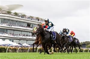 Australian Derby Barriers