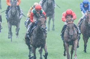 Inglis Sires' Final Field