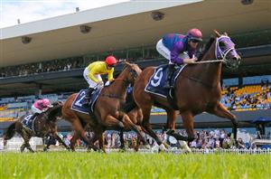 TJ Smith Stakes 2022 Barrier Draw & Final Field