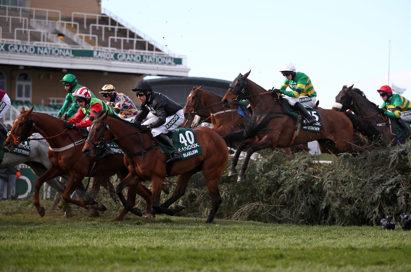 any second now horse grand national odds
