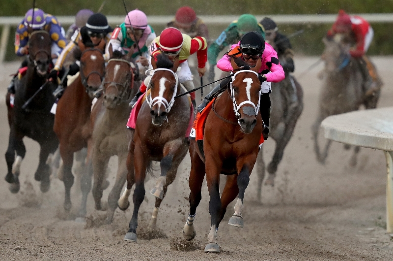 Florida Derby Tips 2022 Odds and predictions for Gulfstream Park April 2