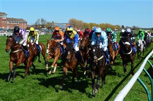 scottish grand national ayr