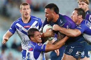 storm bulldogs