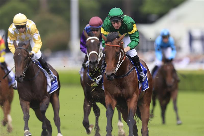 SYDNEY, AUSTRALIA - APRIL 02: William Pike on Semillion wins race 1 the Widden Kindergarten Stakes during The Star Championships Day 1 at Royal Randwick Racecourse on April 02, 2022 in Sydney, Australia. (Photo by Mark Evans/Getty Images)