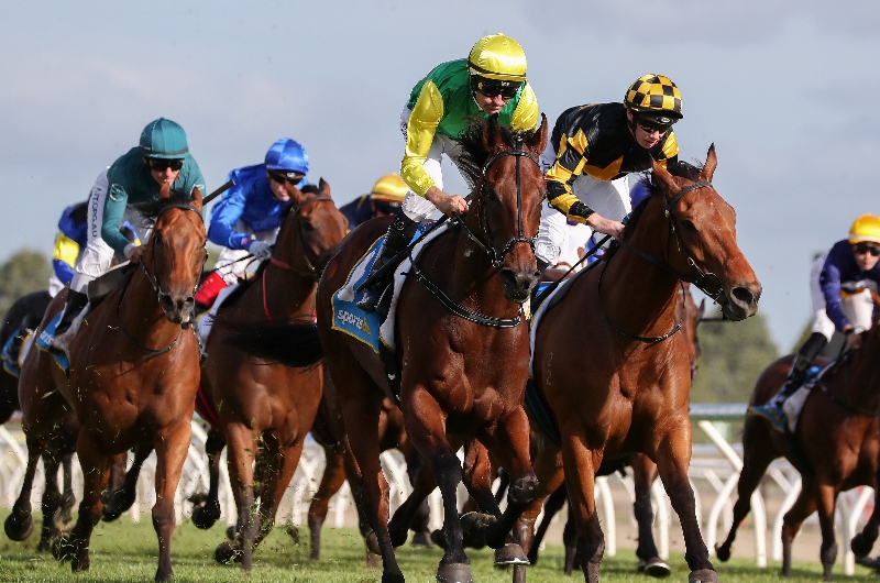 Ballarat Betting Tips