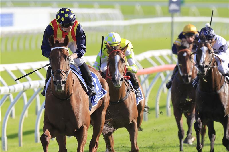 SYDNEY, AUSTRALIA - APRIL 02: James McDonald on Nature Strip wins race 8 the Furphy TJ Smith Stakes during The Star Championships Day 1 at Royal Randwick Racecourse on April 02, 2022 in Sydney, Australia. (Photo by Mark Evans/Getty Images)