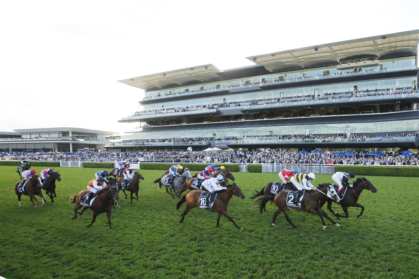 SYDNEY, AUSTRALIA - APRIL 02: Craig Williams on Mr Brightside wins race 9 the Star Doncaster Mile during The Star Championships Day 1 at Royal Randwick Racecourse on April 02, 2022 in Sydney, Australia. (Photo by Mark Evans/Getty Images)