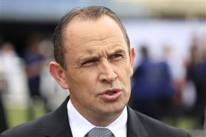 SYDNEY, AUSTRALIA - APRIL 02: Trainer Chris Waller looks on during The Star Championships Day 1 at Royal Randwick Racecourse on April 02, 2022 in Sydney, Australia. (Photo by Mark Evans/Getty Images)