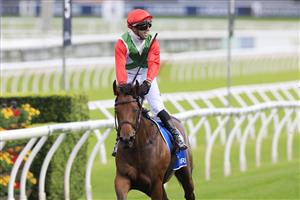 SYDNEY, AUSTRALIA - APRIL 02: Brenton Avdulla on Fireburn wins race 6 the Inglis Sires during The Star Championships Day 1 at Royal Randwick Racecourse on April 02, 2022 in Sydney, Australia. (Photo by Mark Evans/Getty Images)