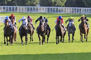 SYDNEY, AUSTRALIA - APRIL 02: Craig Williams on Mr Brightside (C), wins race 9 the Star Doncaster Mile during The Star Championships Day 1 at Royal Randwick Racecourse on April 02, 2022 in Sydney, Australia. (Photo by Mark Evans/Getty Images)