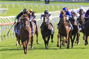 SYDNEY, AUSTRALIA - APRIL 02: James McDonald on Nature Strip wins race 8 the Furphy TJ Smith Stakes during The Star Championships Day 1 at Royal Randwick Racecourse on April 02, 2022 in Sydney, Australia. (Photo by Mark Evans/Getty Images)