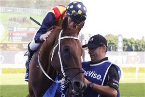 SYDNEY, AUSTRALIA - APRIL 02: James McDonald pats Nature Strip after winning race 8 the Furphy TJ Smith Stakes during The Star Championships Day 1 at Royal Randwick Racecourse on April 02, 2022 in Sydney, Australia. (Photo by Jenny Evans/Getty Images)