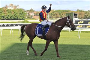 SYDNEY, AUSTRALIA - APRIL 02: James McDonald on Nature Strip returns to scale after winning race 8 the Furphy TJ Smith Stakes during The Star Championships Day 1 at Royal Randwick Racecourse on April 02, 2022 in Sydney, Australia. (Photo by Mark Evans/Getty Images)