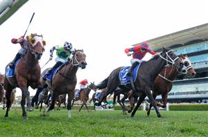 Queen Elizabeth Stakes 2022 Barrier Draw & Final Field