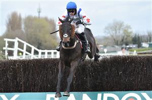 2022 Aintree Bowl Tips - Can Clan claim back-to-back Bowls?
