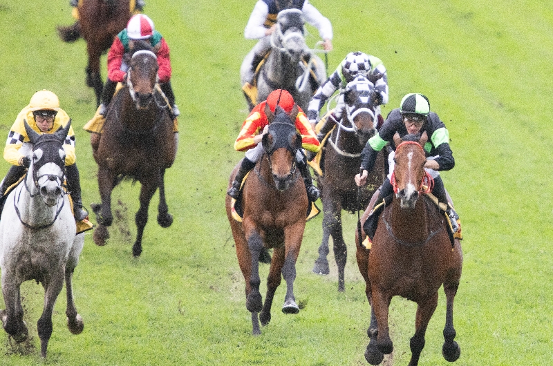 Sydney Cup Tips