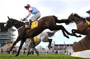 2022 Marsh Chase Tips - 12/1 shot the value play at Aintree