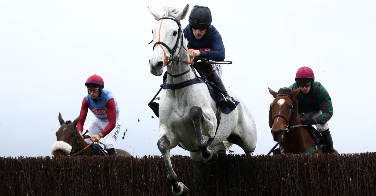 2022 Grand National Odds Update Snow Leopardess new favourite