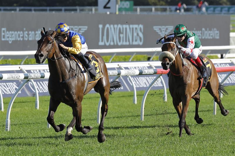 SYDNEY, AUSTRALIA - APRIL 09: Rachel King on Knights Order wins race 7 the Schweppes Sydney Cup during The Championships Day 2, Longines Queen Elizabeth Stakes Day, at Royal Randwick Racecourse on April 09, 2022 in Sydney, Australia. (Photo by Mark Evans/Getty Images)