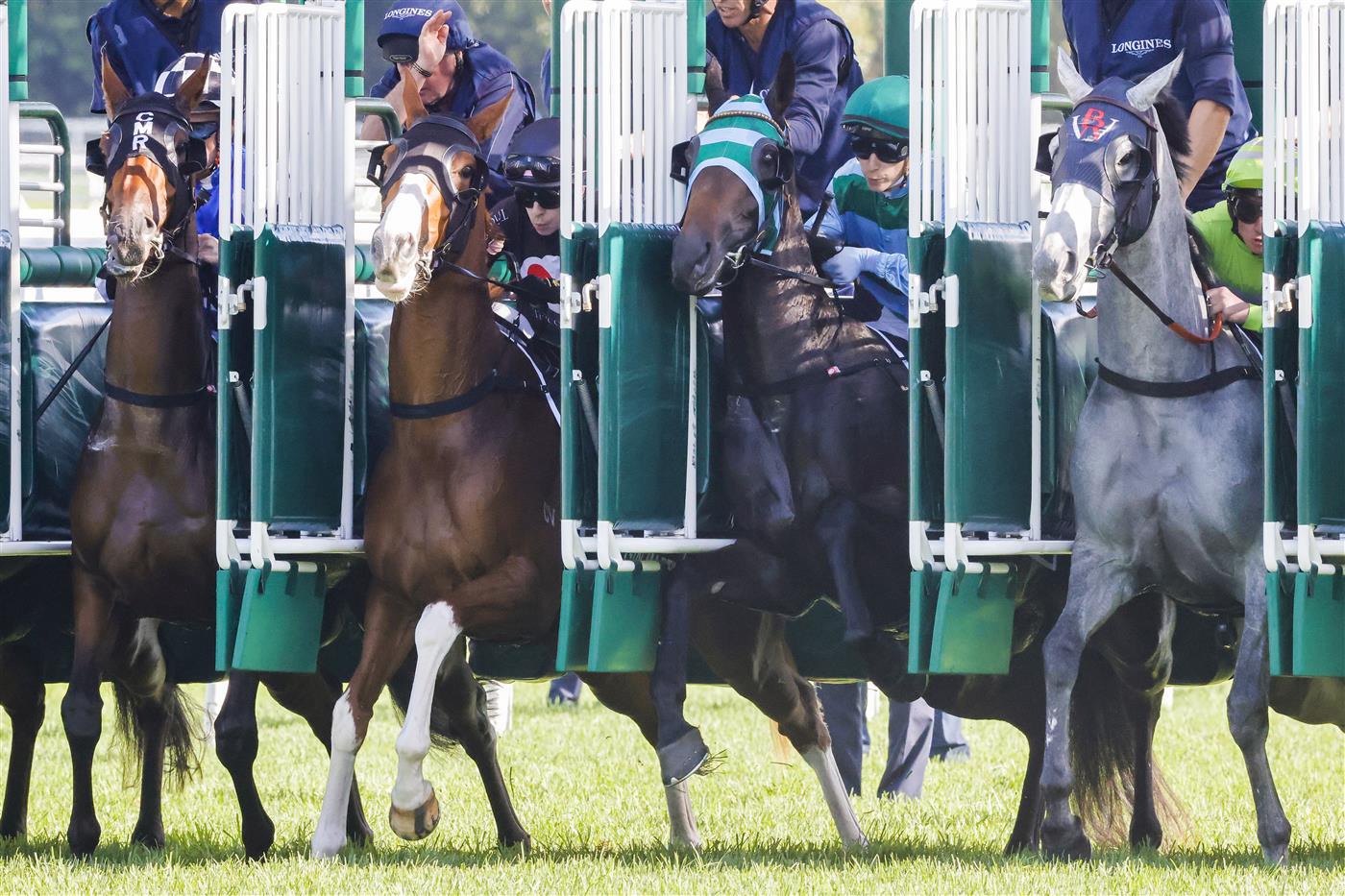 SYDNEY, AUSTRALIA - APRIL 09: Horses and jockeys jump from the gates for race 6 The Star Australian Oaks during The Championships Day 2, Longines Queen Elizabeth Stakes Day, at Royal Randwick Racecourse on April 09, 2022 in Sydney, Australia. (Photo by Jenny Evans/Getty Images)