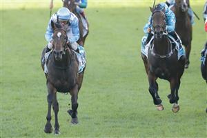 SYDNEY, AUSTRALIA - APRIL 09: Damien Oliver (left front) on Nimalee wins race 9 the Sydney's Queen Of The Turf Stakes at Royal Randwick Racecourse on April 09, 2022 in Sydney, Australia. (Getty)