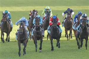 SYDNEY, AUSTRALIA - APRIL 09: Damien Oliver (left front) on Nimalee wins race 9 the Sydney's Queen Of The Turf Stakes at Royal Randwick Racecourse on April 09, 2022 in Sydney, Australia. (Getty)