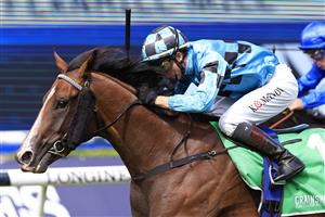 SYDNEY, AUSTRALIA - APRIL 09: Kerrin McEvoy on Williamsburg wins race 1 the Grainshaker Vodka Fernhill Mile during The Championships Day 2, Longines Queen Elizabeth Stakes Day, at Royal Randwick Racecourse on April 09, 2022 in Sydney, Australia. (Photo by Mark Evans/Getty Images)