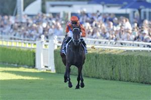 SYDNEY, AUSTRALIA - APRIL 09: Nash Rawiller on Think It Over wins race 8 the Longines Queen Elizabeth Stakes during The Championships Day 2, Longines Queen Elizabeth Stakes Day, at Royal Randwick Racecourse on April 09, 2022 in Sydney, Australia. (Photo by Mark Evans/Getty Images)