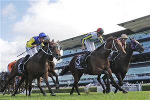 SYDNEY, AUSTRALIA - APRIL 09: Nash Rawiller on Kinloch (green/red cap) wins race 3 the Polytrack Provincial-Midway Championships Final during The Championships Day 2, Longines Queen Elizabeth Stakes Day, at Royal Randwick Racecourse on April 09, 2022 in Sydney, Australia. (Photo by Mark Evans/Getty Images)